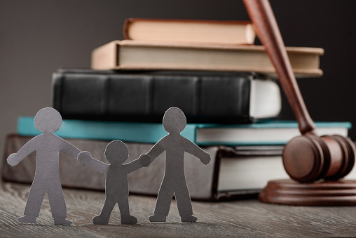 From the Courts: Court Decisions Around the Use of Paraprofessionals in Special Education