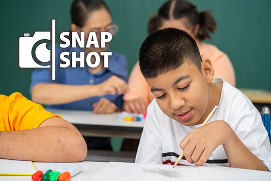 Snapshot: IEPs at a Glance