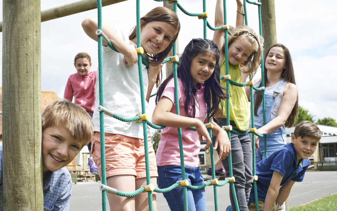 Portrait Of School Pupils Playing On Climbing Frame